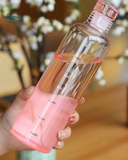 Clear bottle with pink gradient held by a hand against a blurred background 500ml Glass