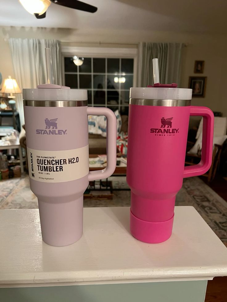 Stanley 40 Oz Vacuum Insulated Tumbler – With Straw & Box